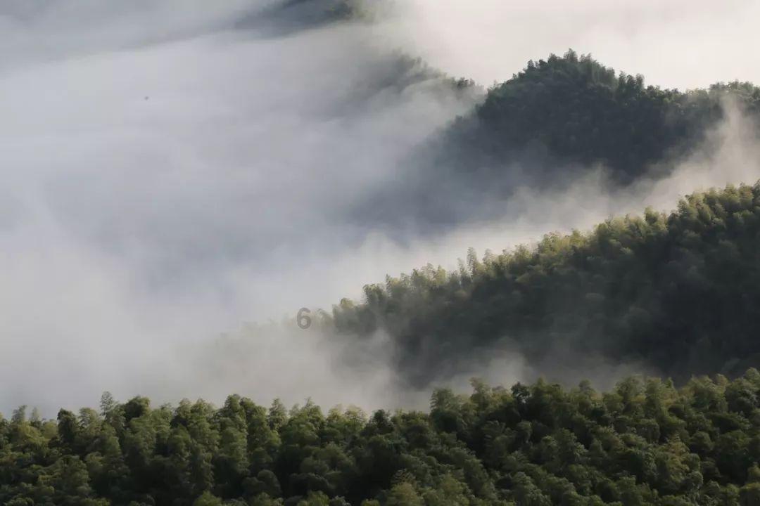 有没有拍卖过跟我一样的天禧通宝游戏画面
